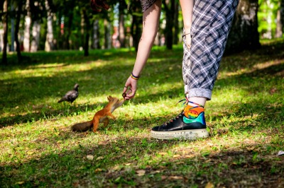 По Царицынскому пейзажному парку — с экспертом МГУ