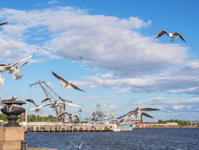 Кронштадт: на страже морских границ