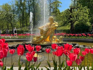 В Нижний парк Петергофа на метеоре — из Петербурга