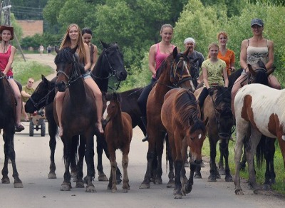 Индивидуальные и групповые конные прогулки в Подмосковье