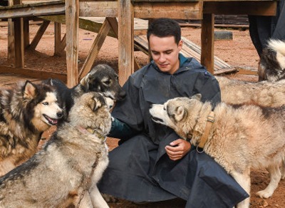 Экскурсии с рассказом об особенностях северных ездовых собак в Подмосковье