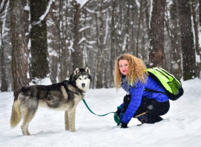 Догтрекинг с хаски по Москве в клубе любителей северных собак