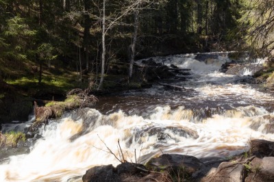 В карельский экопарк «Долина водопадов» — из Петербурга