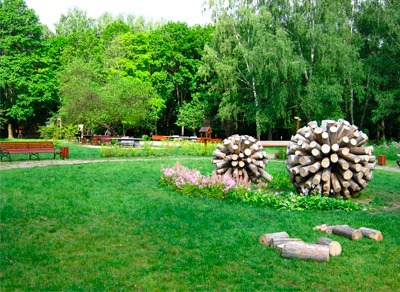 Отдых на природе с мангалом и столами в парке Москвы